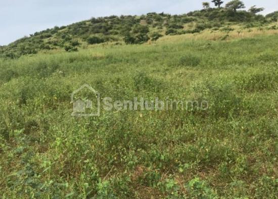 Terrain Agricole de 1,62 hectare à Toubab Dialaw