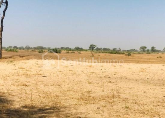 Terrain Agricole de 1,64 hectare à Tassette