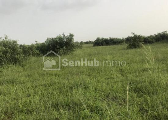 Terrain Agricole de 12,9 hectares à  Tassette