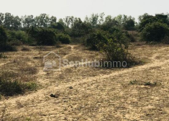 Terrain Agricole de 1,6 hectare à Diender