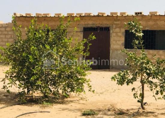 Verger Fruitier de 1,13 hectare à Diender