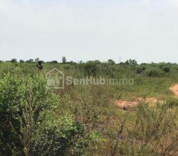 Terrain Agricole de 01 hectare à Diass