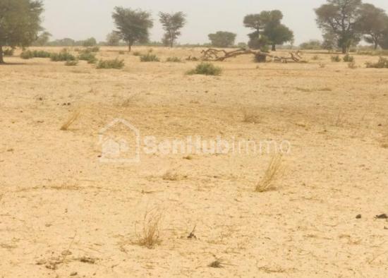 Terrain Agricole de 2,55 hectares à Tassette