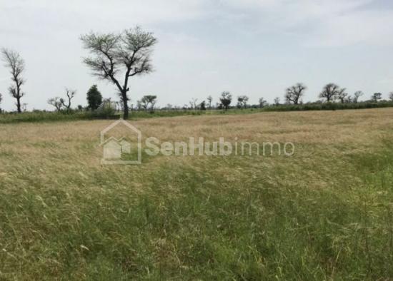 Terrain Agricole de 50 hectares à Mont Rolland