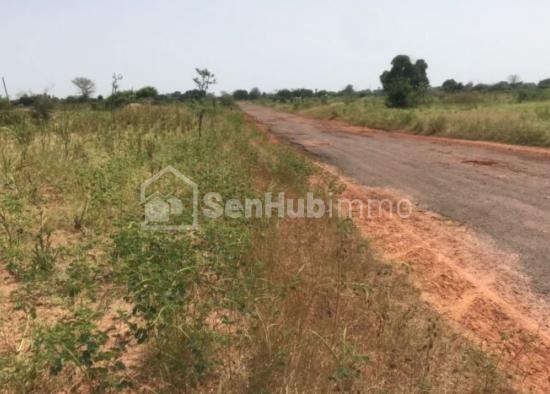 Terrain Agricole de 3,44 hectares à Thiadiaye