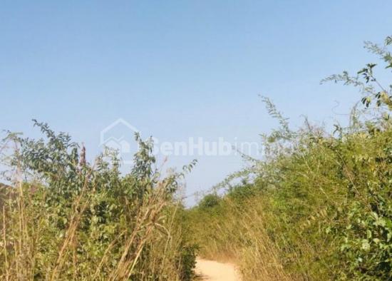 Terrain Agricole de 4 hectares à Diass