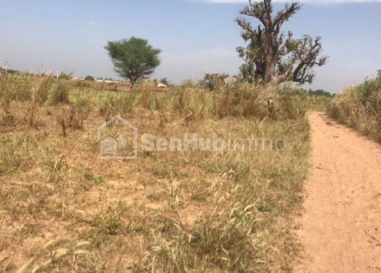 Terrain Agricole de 7408 m² à Fimela