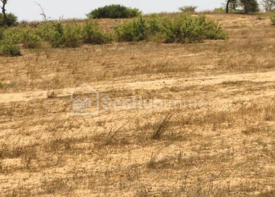 Terrain Agricole de 1,52 hectare à Mont Rolland