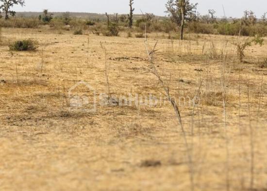 Terrain Agricole de 1,27 hectare à Mont Rolland