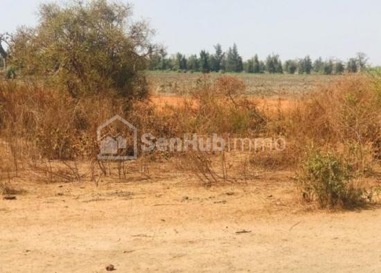 Terrain Agricole de 2,48 hectares à Sebikhotane