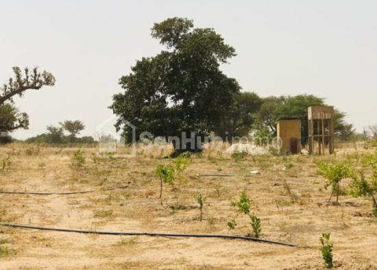 Verger Fruitier de 3,51 hectares à Tassette