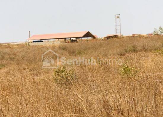 Terrain Agricole de 8979 m² à Sindia