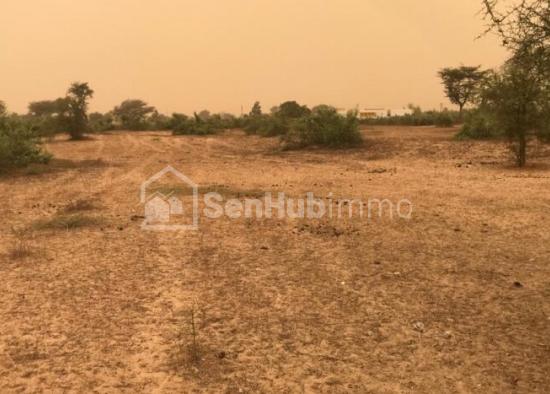 Terrain Agricole de 3,5 hectares à Thiénaba
