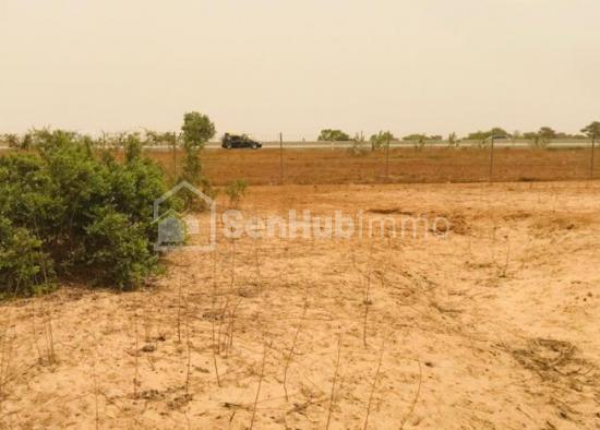 Terrain Agricole de 23 hectares à Touba Toul
