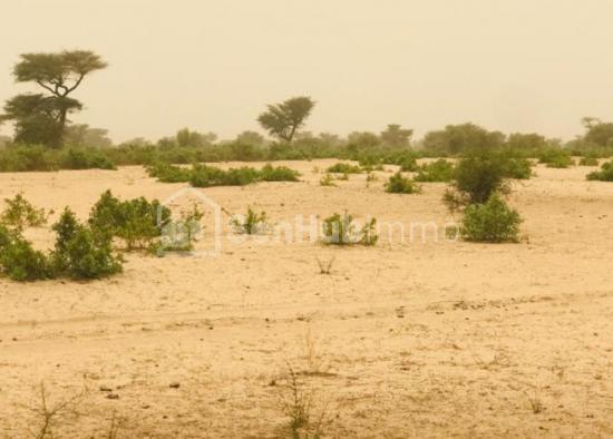 Terrain Agricole de 09 hectares à Thiénaba