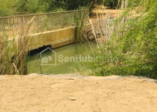 Terrain Agricole de 50 hectares à Diama