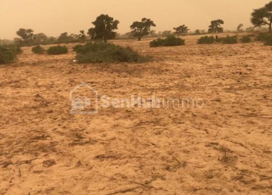 Terrain Agricole de 3,63 hectares à Thiénaba