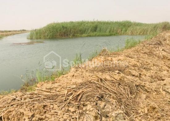 Terrain Agricole de 400 hectares à Diama