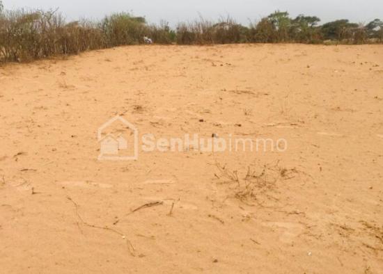 Terrain Agricole de 5400 m² à Tassette