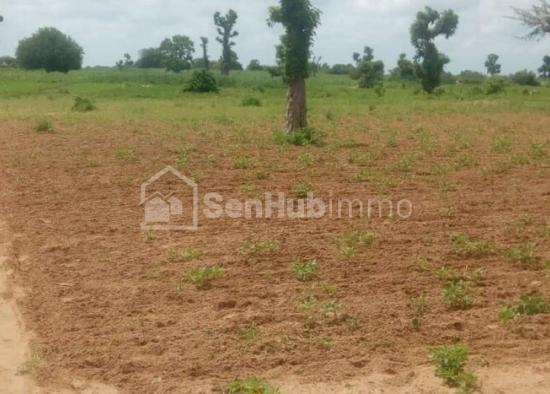 Terrain Agricole de 5200 m² à Sandiara