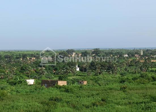 TERRAIN A VENDRE A DIASS