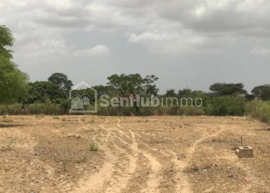 Terrain Agricole de 4634 m² à Fandéne