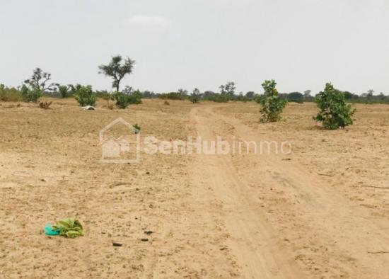 Terrain Agricole de 1,4 hectare à Notto Diobass
