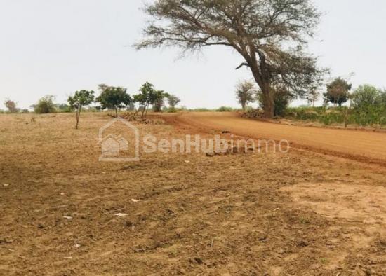 Verger Fruitier de 1,21 hectare à Fandene