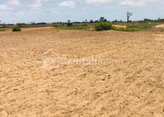 Terrain Agricole de 7997 m² à Sandiara