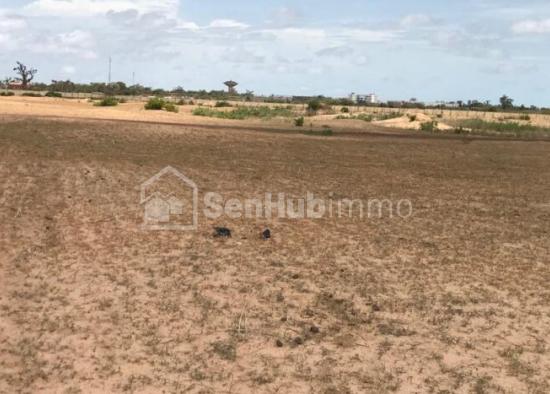 Terrain Agricole de 2543 m² à Sandiara