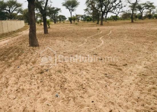 Terrain Agricole de 3326 m² à Sandiara