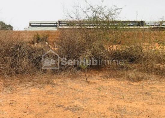 Terrain Agricole de 8343 m² à Keur Moussa