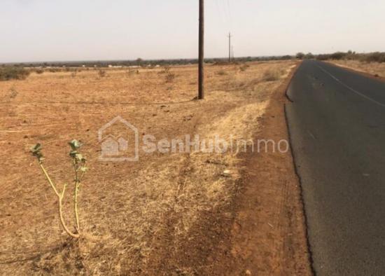 Terrain Agricole de 8779 m² à Tassette