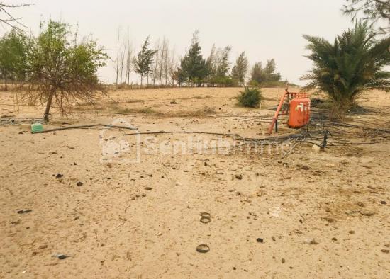 Verger Agricole de 07 hectares à Diama