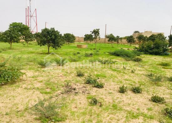 Ferme Agricole de 6784 m² à Diender