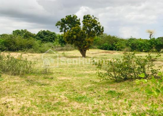 Verger Fruitier de 4130 m² à Diender