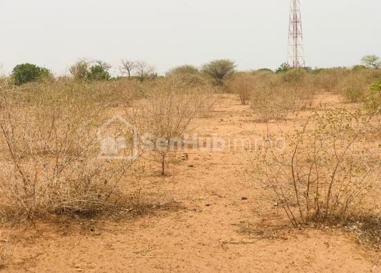 Terrain Agricole de 9061 m² à Sindia