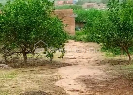 Ferme Agricole de 1,04 hectare à Diass
