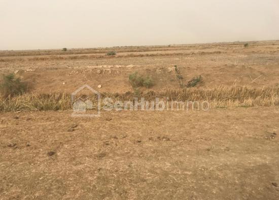 Terrain Agricole de 1,86 hectare à Keur Moussa