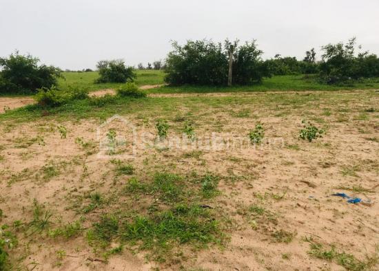 Terrain Agricole de 3,5 Hectares à Fandéne