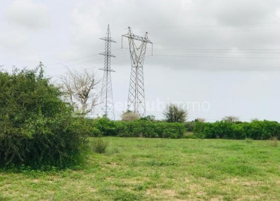 Terrain Agricole de 1,02 Hectare à Notto Gouye Diama