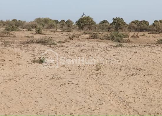 Verger Fruitier de 3 Hectares à Notto Gouye Diama