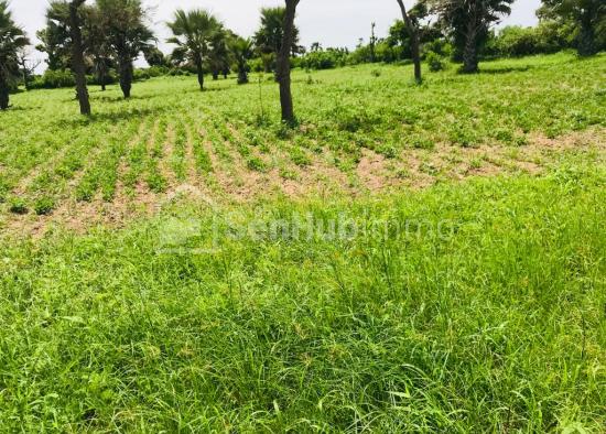 Terrain Agricole de 1,6 hectare à Mont Rolland