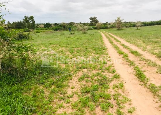 Terrain Agricole de 1,36 hectare à Notto Gouye Diama