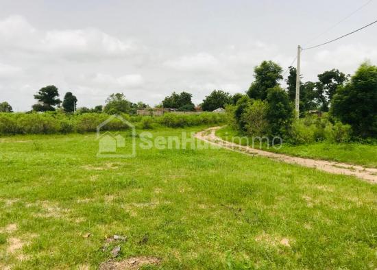 Terrain Agricole de 3117 m² à Tassette