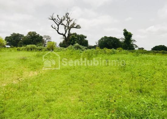 Verger Fruitier de 8276 m² à Tassette