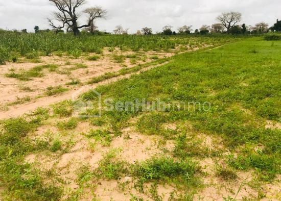 Terrain Agricole de 9507 m² à Tassette