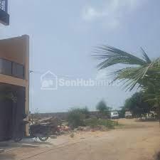 TERRAIN AUX MAMELLES