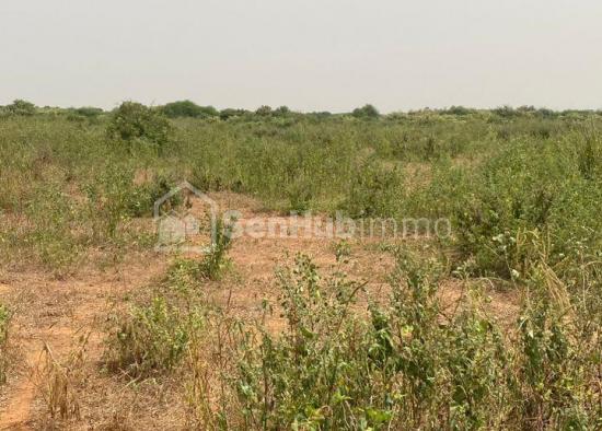 TERRAIN A VENDRE DIASS LANDOU