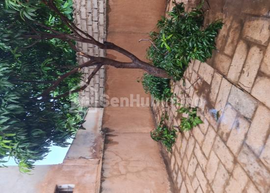 Villa à vendre à la Sicap liberté 1